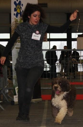 CH. Ch fary The Sourannya - 1 excll RCACIB