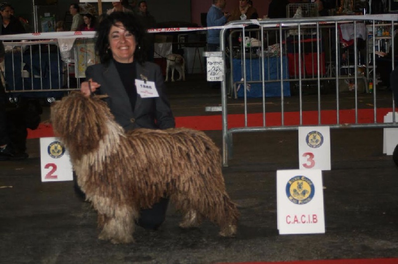 CH. Ch fary The Sourannya - 1er exll CACIB BOB meilleur champion