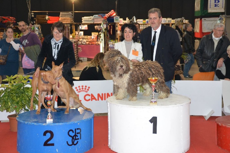 CH. Ch fary The Sourannya - meilleur paire