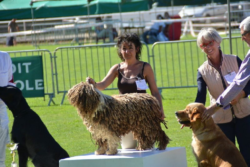 CH. Ch fary The Sourannya - 1er excll , 1er 8em groupe, 2em BIS