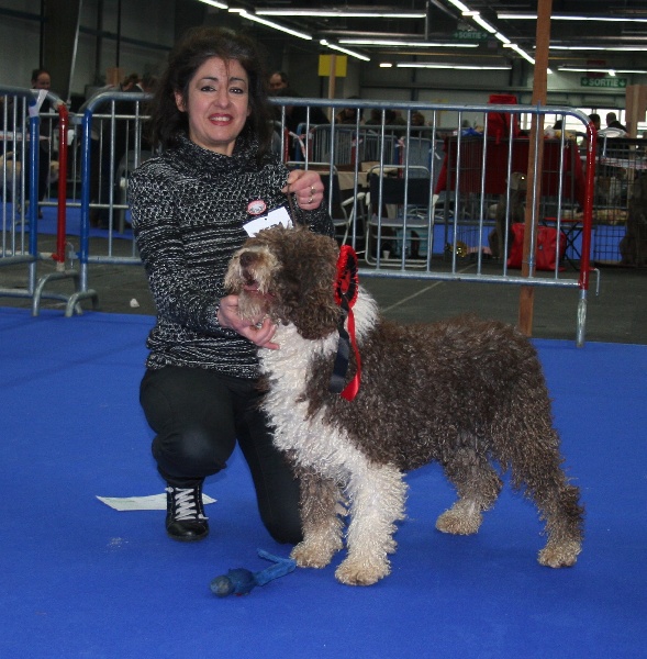 CH. Ch fary The Sourannya - 1excl CACIB, BOB, 3em du 8em groupe