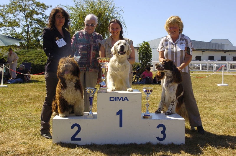 CH. Ch fary The Sourannya - 1 excll Meilleur Jeune, meilleur de race BOB