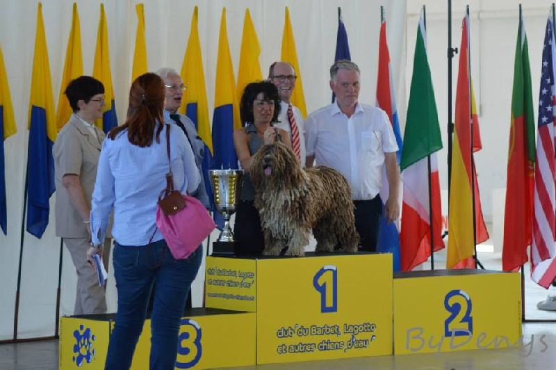 CH. Ch fary The Sourannya - 1er excll Meilleur chien de la National d'elevage