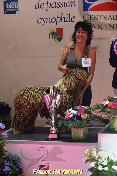 CH. Ch fary The Sourannya - 2em du groupe 8 au Championat de france