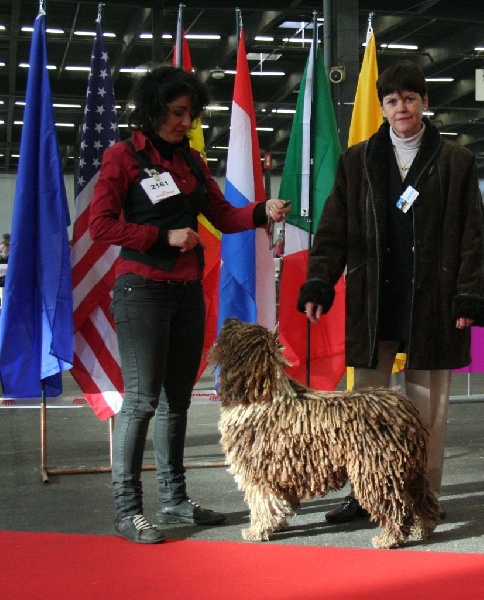 CH. Ch fary The Sourannya - 1 er excll CACIB BOB meilleur champion