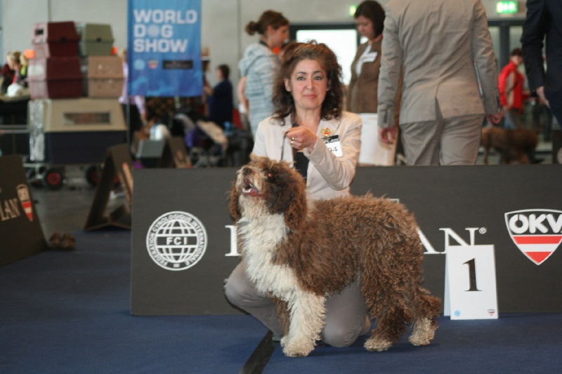 CH. Ch fary The Sourannya - 1 excll CACS, RCACIB (Vice Champion du monde)