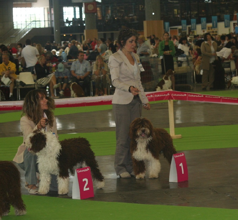 CH. Ch fary The Sourannya - 1 excll (Ch monde jeune male)