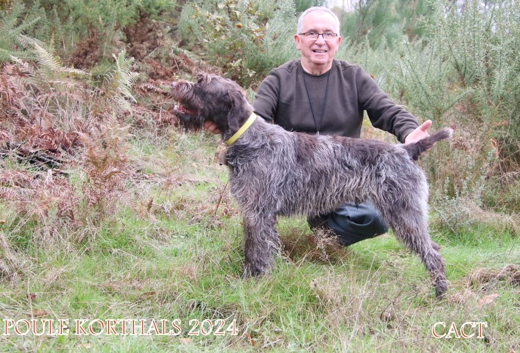 Publication : Des Bois De Puypinson Auteur : Quiers G