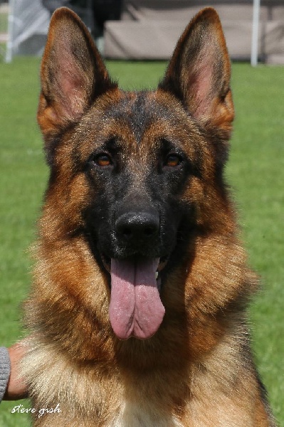 Publication : des Collines du Boischaut