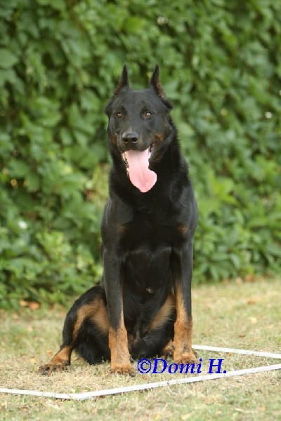 Publication : du stuyver veld