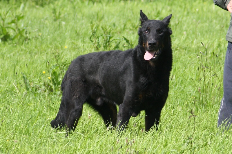 Publication : du stuyver veld