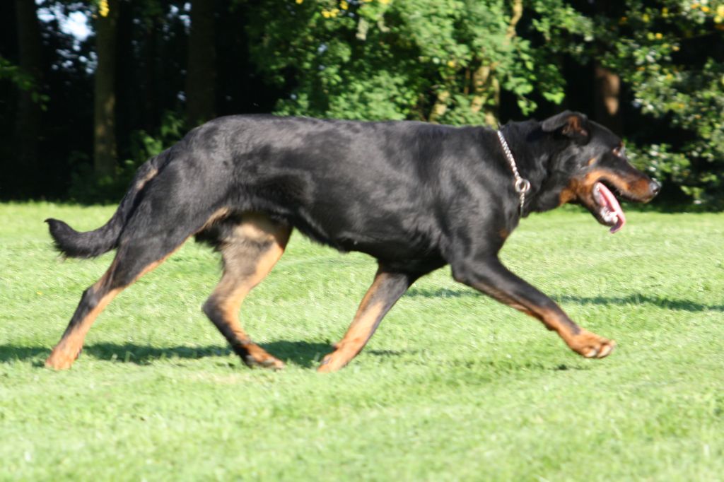 Publication : du stuyver veld Auteur : Marc MESSIANT