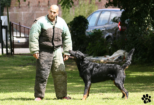 Publication : du stuyver veld