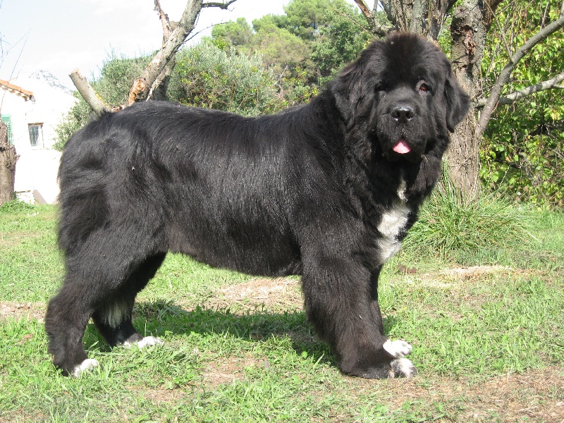 Publication : d'Entre Terre et Mer Auteur : TONIN C