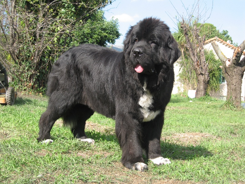 Publication : d'Entre Terre et Mer Auteur : TONIN C