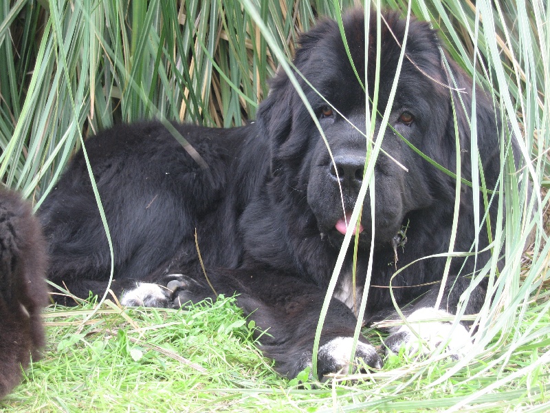 Publication : d'Entre Terre et Mer Auteur : TONIN C