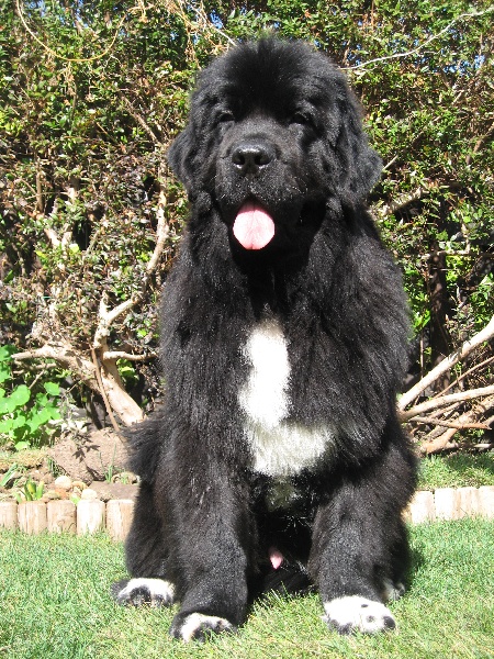 Publication : d'Entre Terre et Mer Auteur : TONIN C