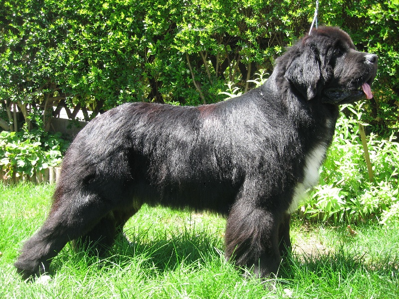 Publication : d'Entre Terre et Mer Auteur : TONIN C