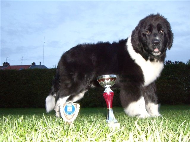 Edition speciale d'Entre Terre et Mer - 1ère Très Prometteur classe Babby