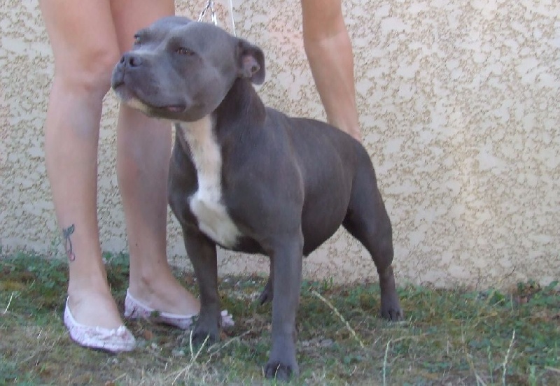 Publication : Woody's Original Auteur : fl