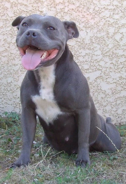 Publication : Woody's Original Auteur : fl