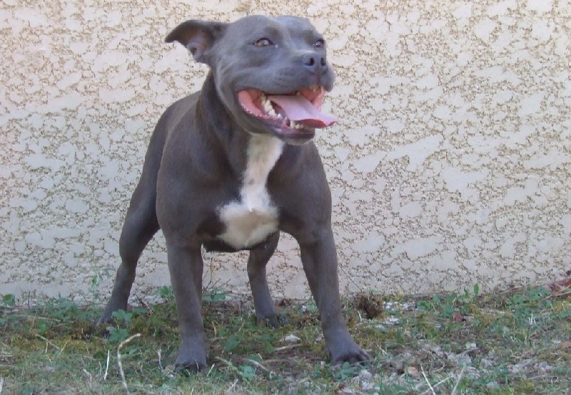 Publication : Woody's Original Auteur : fl