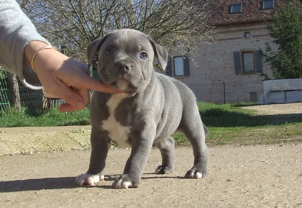 ROCKY