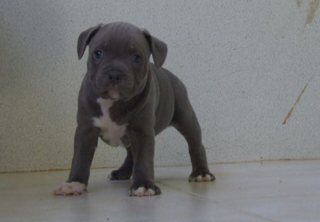 ROCKY