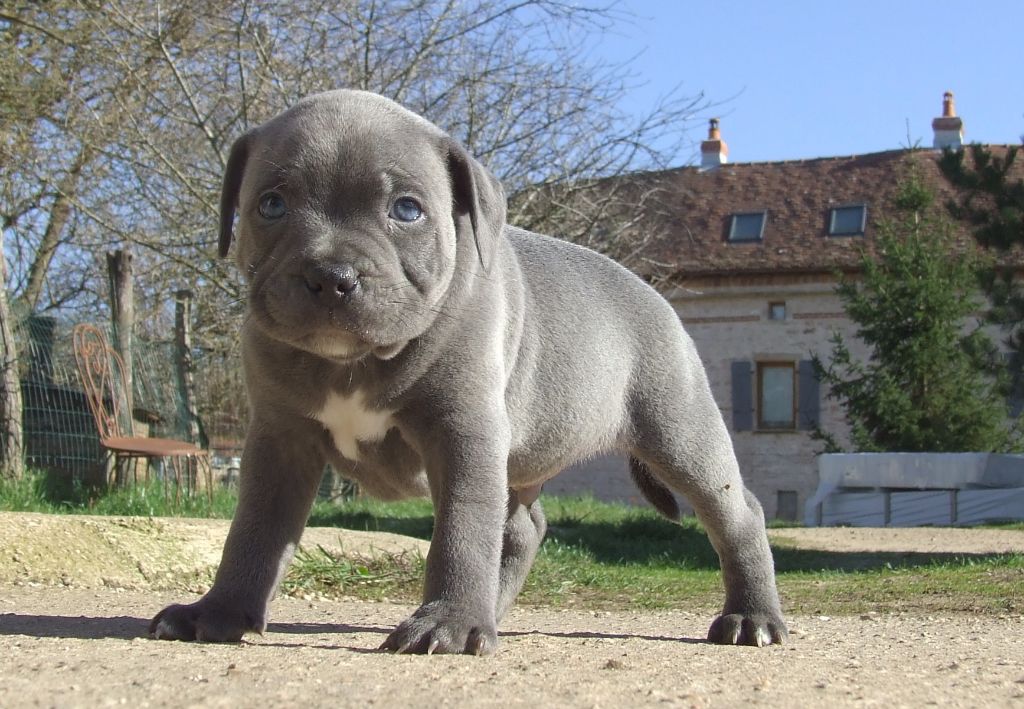 RAGNAR
