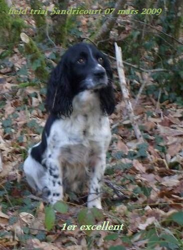 TR. Utece Du puits lachaud - 1er EXCELLENT