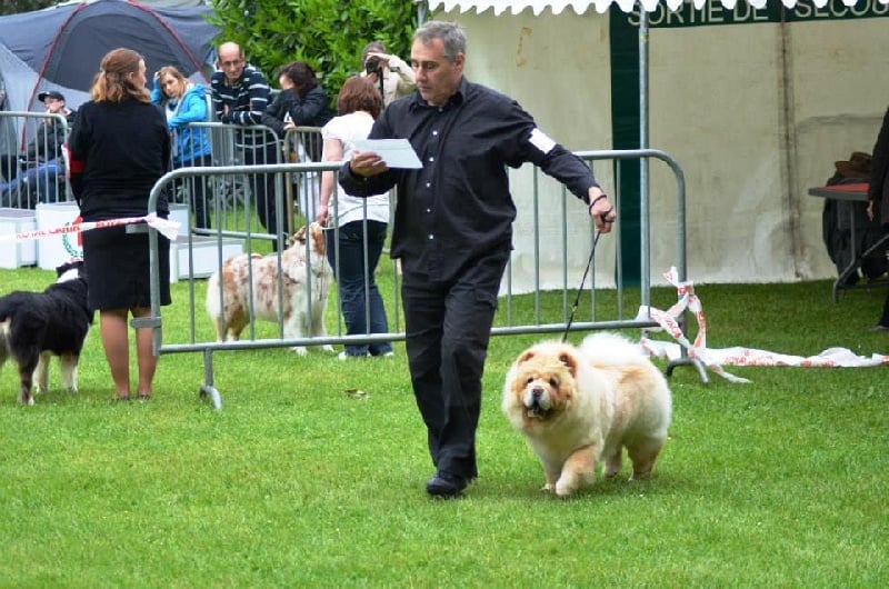 Queen mary bohemian hako - 1ere TB Classe Jeune