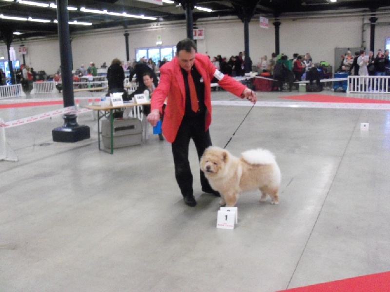 Queen mary bohemian hako - Classe PUPPY TRES PROMETTEUR MEILLEUR PUPPY