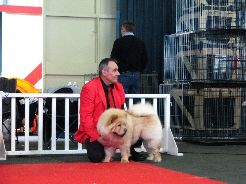 Queen mary bohemian hako - TRES BON CLASSE JEUNE