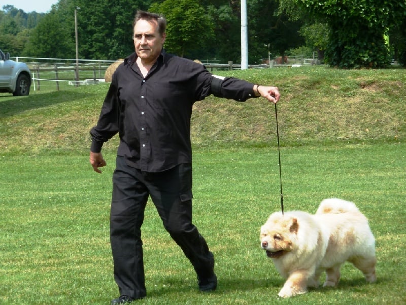 Queen mary bohemian hako - 1ERE EXC CLASSE JEUNE