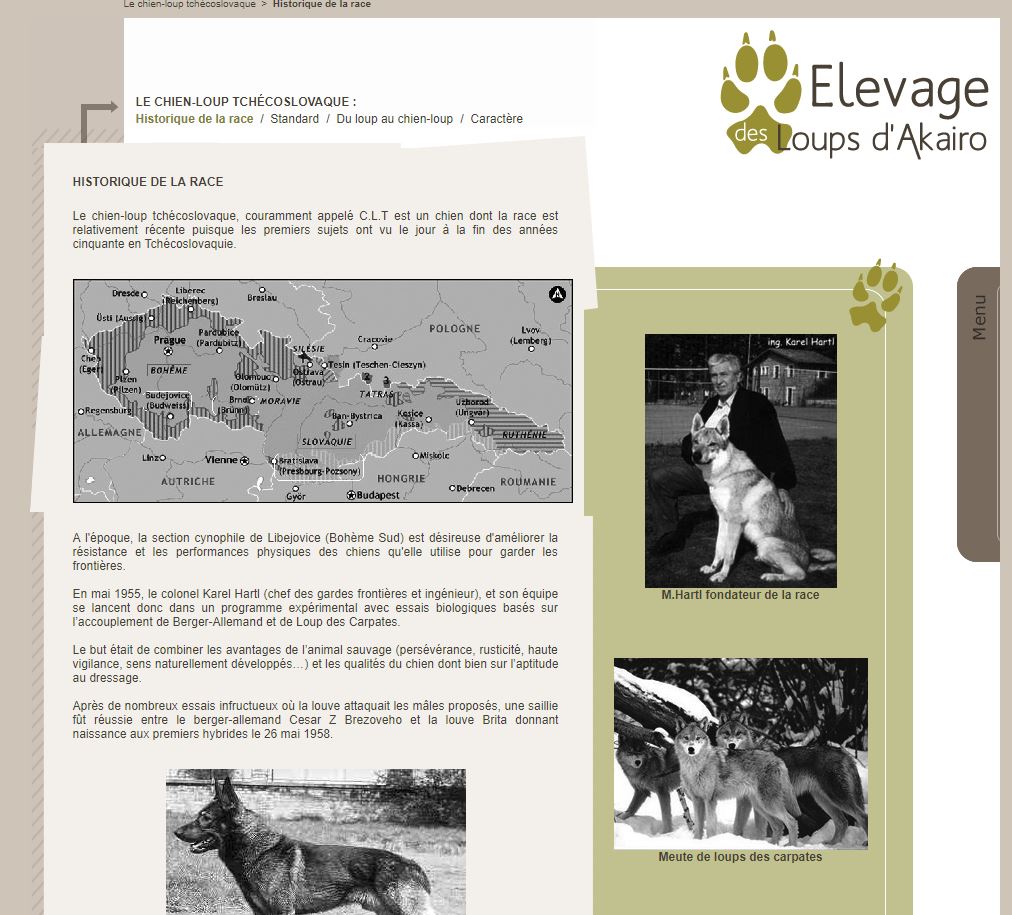 Lien Elevage Des Loups Dakairo Eleveur De Chiens Chien
