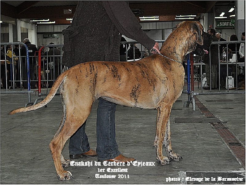 Publication : des Terres d'Abalone