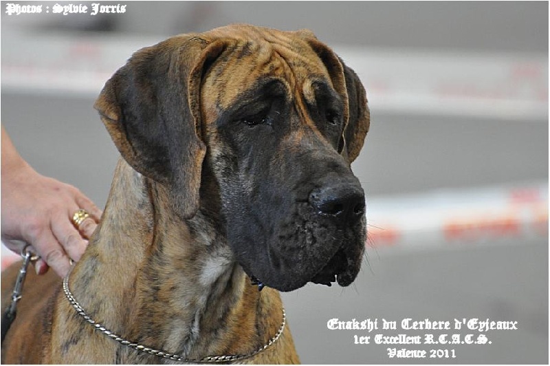 Publication : des Terres d'Abalone