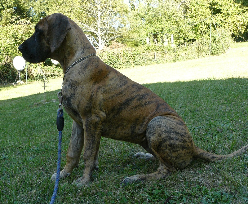 Publication : des Terres d'Abalone