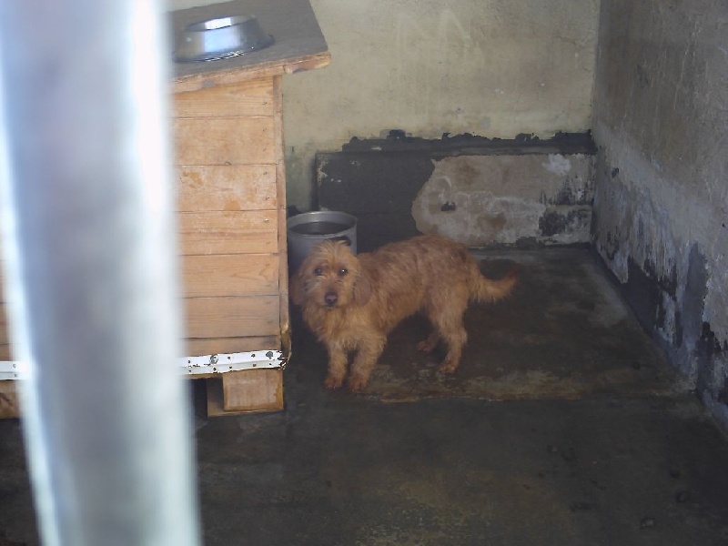 Publication : de la Font de l'Arca Auteur : Cristofol Serge