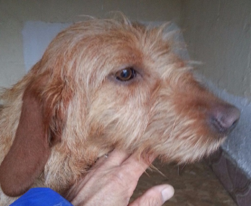 Héliot de la cabane des Gissieres - Tres Bon