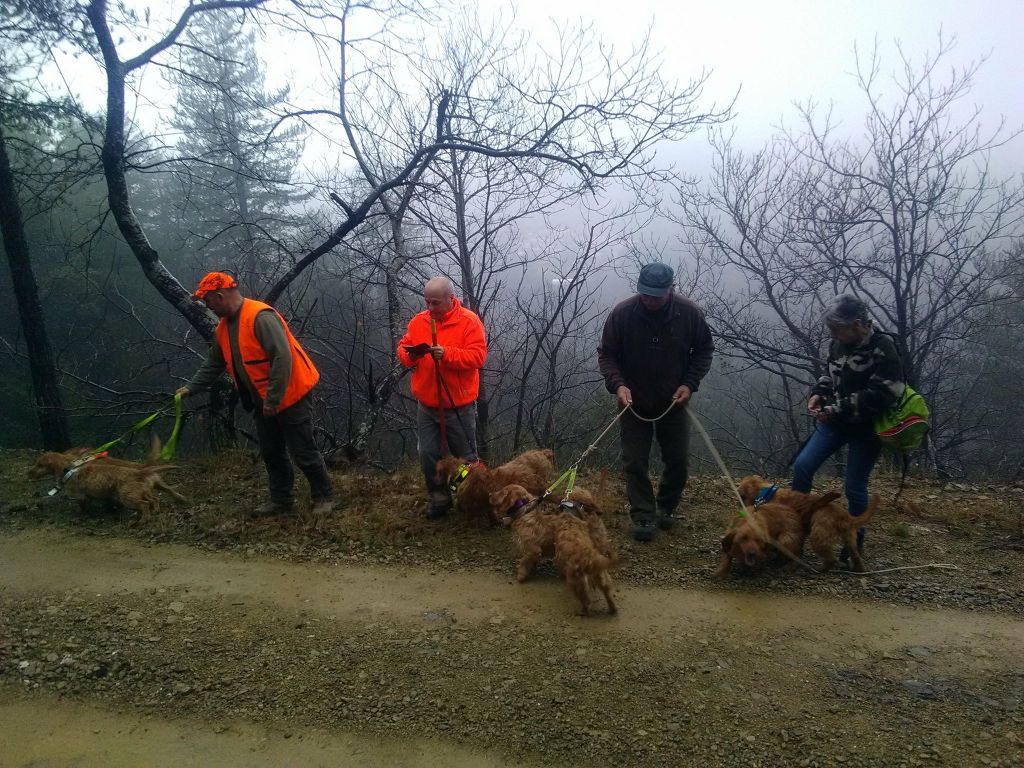 Lucky de la Font de l'Arca - 120PTS