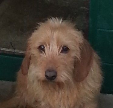 Ines de la Font de l'Arca - 2° exc classe ouverte