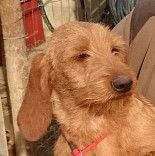 Nook du sud isère - 2° EXC