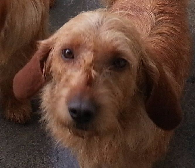 Héliot de la cabane des Gissieres - Trés Bon