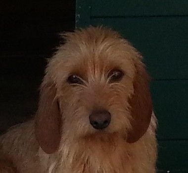 Ines de la Font de l'Arca - EXC