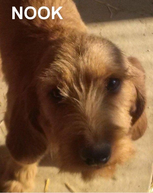 Nook du sud isère - 105 PTS