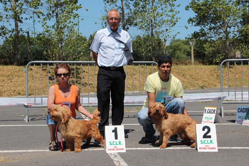 Clairon du domaine des mosellos - 1° excellent