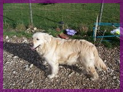 Publication : Des Gardiennes De La Vallée Du Cher