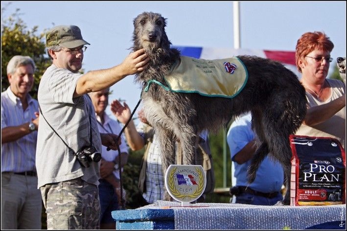 CH. Tpo. lsp. bonnes fêtes du Triple Bois - Championne de France Poursuite a Vue sur Leurre