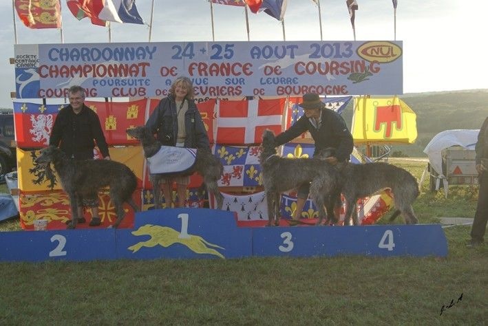 CH. Tpo grand ciel du Triple Bois - Champion de France Poursuite a Vue sur Leurre